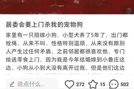 “捕杀宠物家禽”通知惹争议，不仅是措辞不当图片