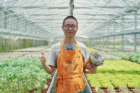 从城里的CEO到村里的“多肉大王”图片