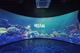 235件精美菊石，国内国有博物馆首个菊石主题展厅在河源开展图片