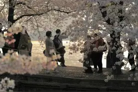 见春天而不见故人——读《见春天》有感图片