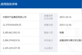 中国林产品集团累计逾期发生额22.8亿元，母公司原董事长被捕图片