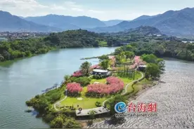 “语文课本封面”带你打卡福建春日繁花！图片