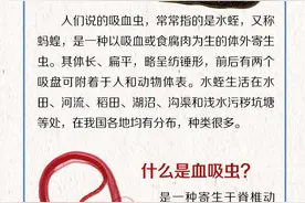 【全国血防宣传周】吸血虫、血吸虫是一回事吗？丨一问医答图片