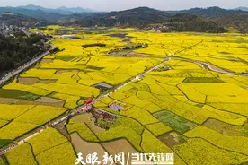创新体验！今年的剑河南明油菜花节吸引万人打卡图片