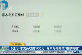 3·15晚会 只打开水龙头收费100元 啄木鸟维修成“维修刺客”视频封面