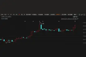 停牌重大事项揭晓！这家A股公司将易主，奇瑞入局图片