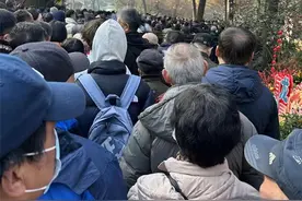 看花灯、听戏曲、探梅花、寻龙纹……杭州西湖景区年味十足图片