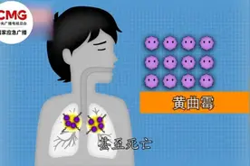 新年大扫除，警惕灰尘里的“健康杀手”｜健康过大年图片