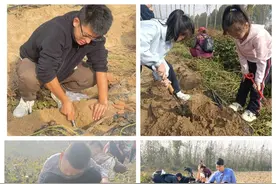 滨城区清怡小学2023级9班：探寻自然之美 研享劳动之乐图片