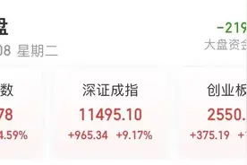 5000万元闲钱，要拿去炒股！这家上市公司也坐不住了，上半年净利润仅518万元，刚刚才被罚800万元图片