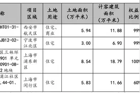 招商蛇口前10个月销售额约2472亿元，同比增加9.15%图片
