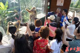 “不投喂就是在保护野生动物”市科协邀请市民在动物园学科普图片