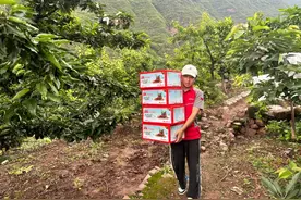 新华财经丨特色产品寄递需求旺盛 快递业“迎战”线上消费旺季图片
