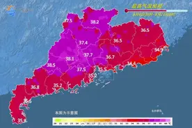头皮发麻！大量黑虫冒出，近期很多人家里也有图片