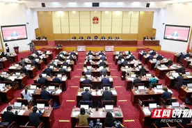 湖南省十四届人大常委会第六次会议举行第二次全体会议图片