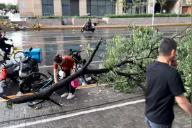 气象专家解读北京大风：强对流天气为何来去匆匆图片