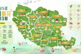 滴滴，南阳春日赏花地图请查收！图片