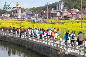 虹山油菜花海徒步首秀！来这里过春天，好浪漫！图片