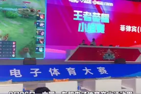 霍启刚、何猷君力挺，东盟市场叠buff！广西这项产业大有可为图片