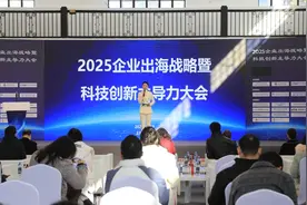 助力企业“扬帆出海”！2025企业出海战略与科技创新主导力大会举行图片