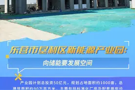每周一个重大项目｜东营市垦利区新能源产业园：向储能要发展空间图片