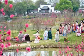 春日浪漫 说走就走！4条赏花专线带你打卡南宁春色→图片