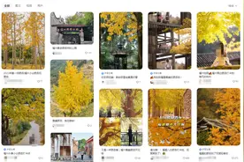 别乱捡！近期福建街头大量出现！医生：有毒！赶紧停手图片