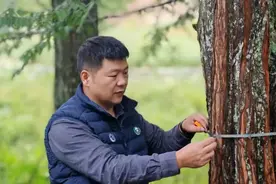 九三学社社员陈金良：守护三峡绿色生态屏障的森林赤子图片