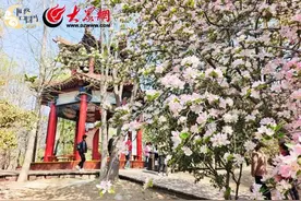 网络中国节·清明|清明假期哪里玩？这份春日畅游滕州攻略请收好！图片