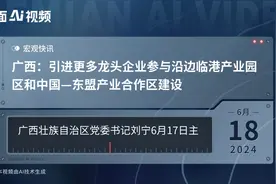 广西：引进更多龙头企业参与沿边临港产业园区和中国—东盟产业合作区建设视频封面