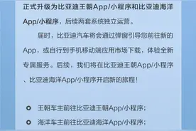 比亚迪王朝、海洋APP上线，两套系统独立运营图片