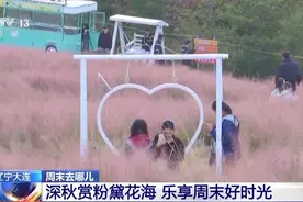 “遇稻粉黛”“捡秋”赏秋菊……快来晒出你的出游打卡照图片