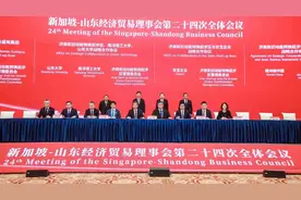 深化大开放 拓展大招商  山东打造对新加坡合作“排头兵”图片