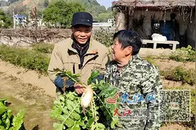 诚信老夫妻仍在替子还债图片