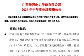 水电行业火爆！长江电力、华能水电上半年发电量两位数增长，桂冠电力净利润预增超50%图片