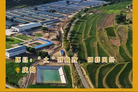 【小陇画报·270期】环县：“土”到极致  别样风景图片