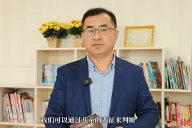 送你一缕书香∣畅立强：读《童年的秘密》，认识孩子成长规律图片