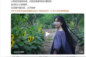 “李子柒回归”连更视频，知情人士透露停更内情图片