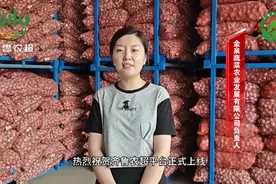 金泉蔬菜农业发展有限公司贺“齐鲁农超”平台正式上线图片