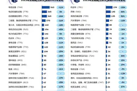欧盟中国商会：2023年欧盟自华进口增幅最大的品类为机动车图片