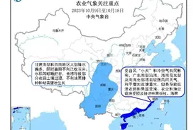 多晴少雨好时节，秋收晾晒“加速度”！ | 农气直通车图片