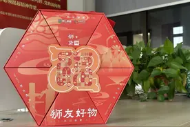 狮+好货上新！2025巳巳如意新春礼盒来啦，寓意满满图片