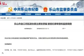 父子同日双双“落马”！儿子任上被查图片