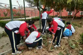 红薯地里笑声扬！宁阳这所小学举办特色丰收节，师生同乐图片