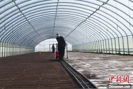 （乡村行·看振兴）大荒地村备耕充满科技味：农忙不再凭力气图片