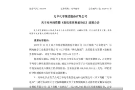 六国化工易主落空  万华化学连“吃”两股生变图片