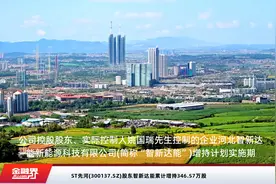 ST先河(300137.SZ)股东智新达能累计增持346.57万股视频封面