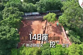 发现148座古墓葬！广州动物园又“挖”出宝｜视频图片