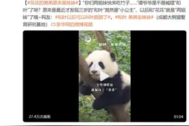 “弟弟”变“妹妹”，网友：建议也查查“花花”……图片