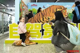 “野生动物”主题活动亮相五一广场地铁站，设有多个打卡区图片